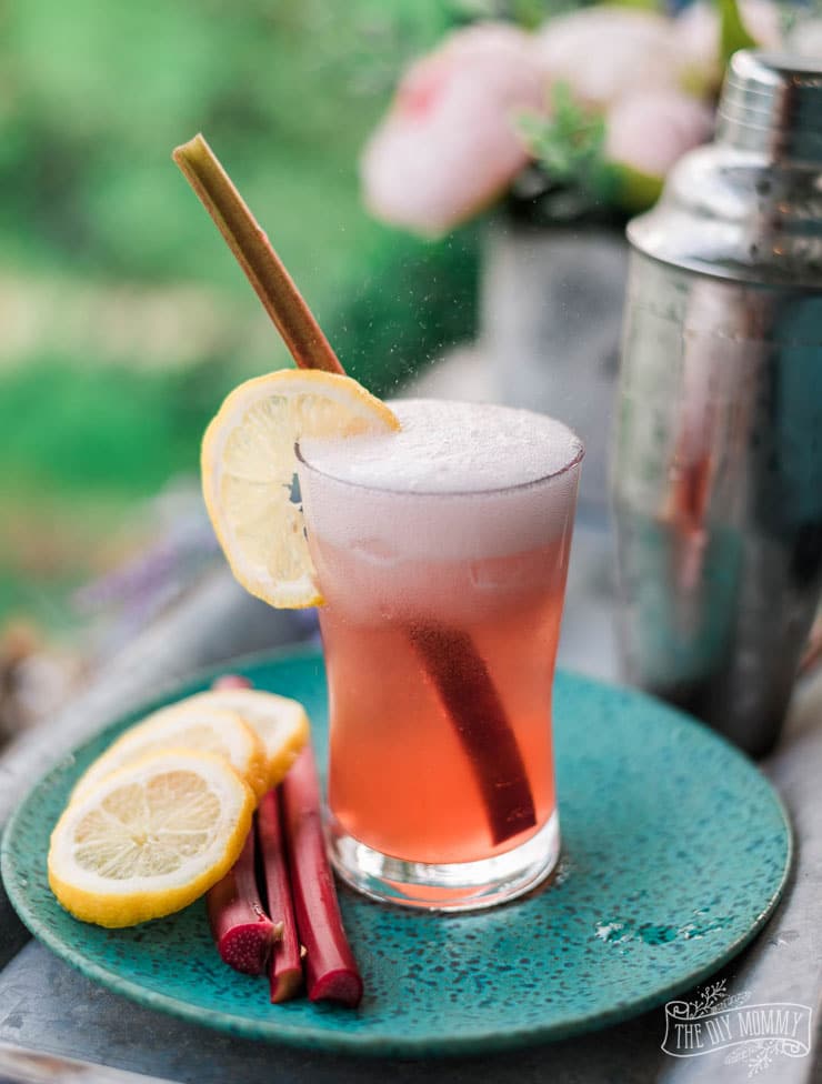 Make a Strawberry Rhubarb Gin Fizz Summer Cocktail
